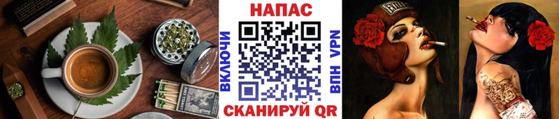 Купить  Кохма  Canna-Cookies конопля 