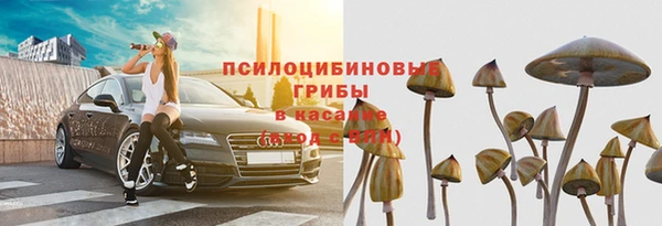 прущий лед Горнозаводск