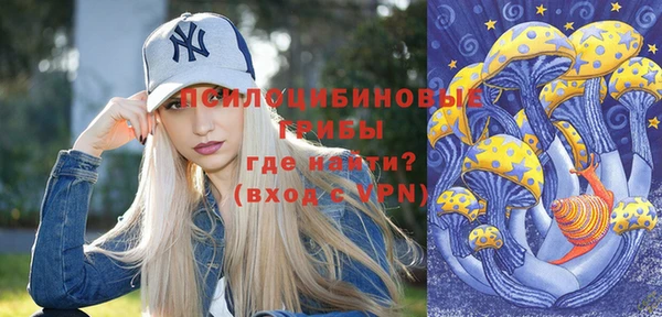 сатива Гусев