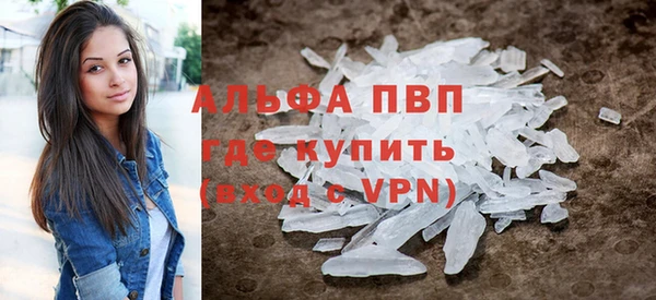 сатива Гусев
